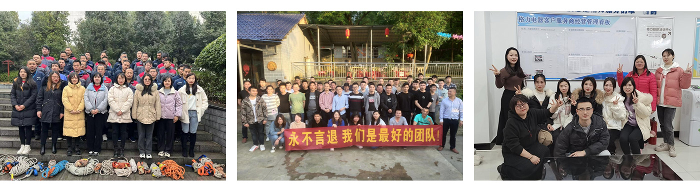 2024新奥门原料免费资料